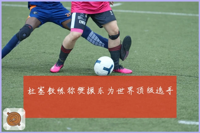 杜塞教练称樊振东为世界顶级选手